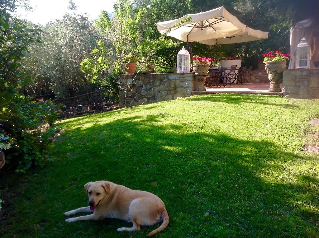 Farm stay Borgo Dolci Colline Villa Castiglion Fiorentino