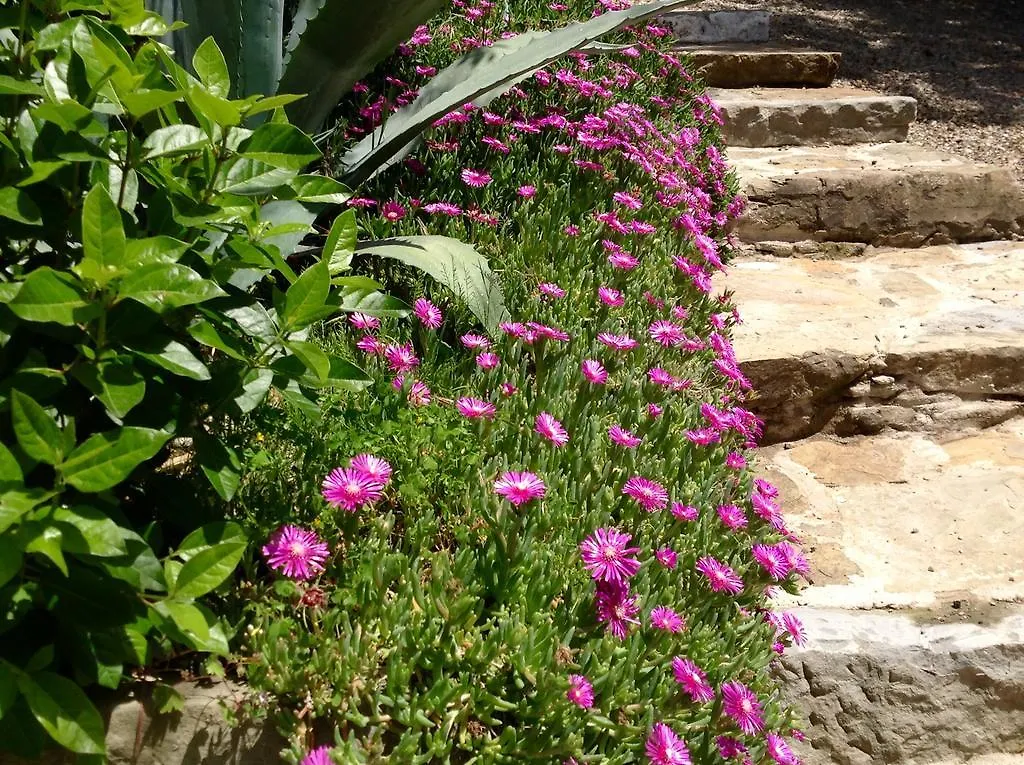 Borgo Dolci Colline Villa Castiglion Fiorentino Italy