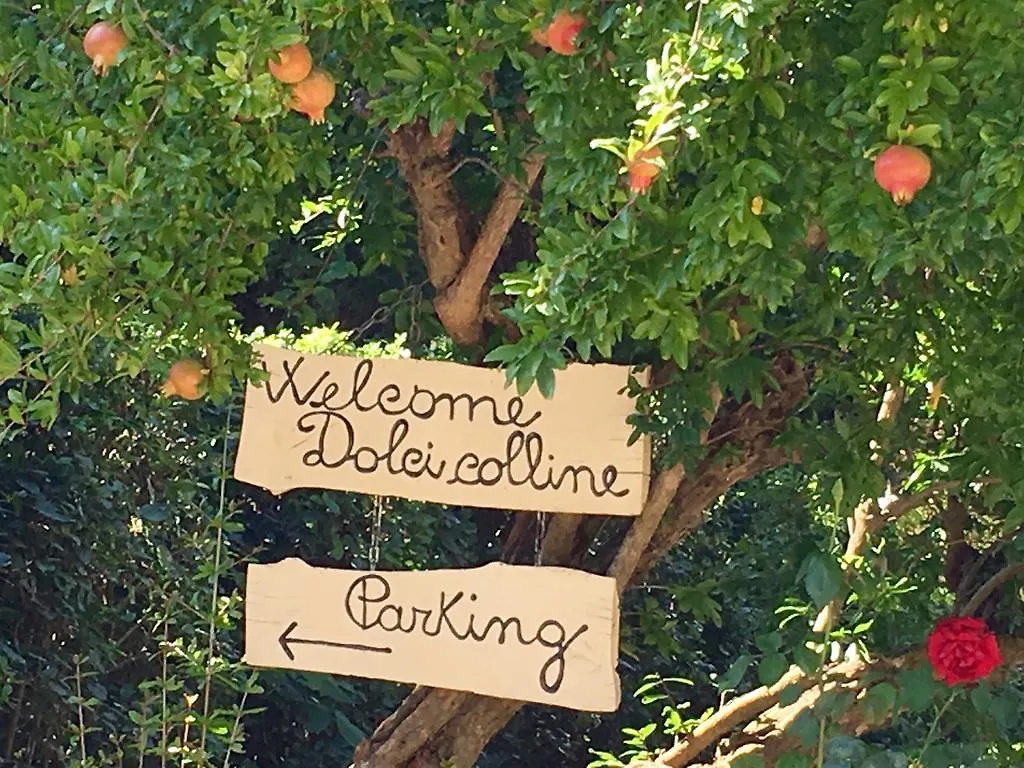 Borgo Dolci Colline Villa Castiglion Fiorentino Italy